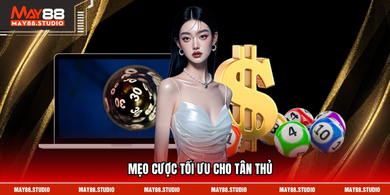 Mẹo cược tối ưu cho tân thủ