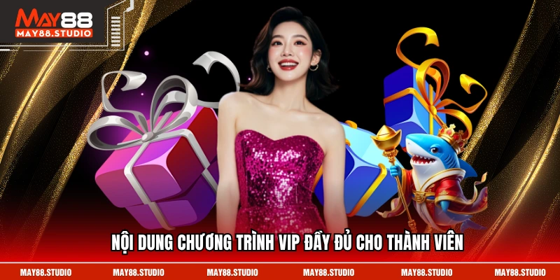 Nội dung chương trình VIP đầy đủ cho thành viên